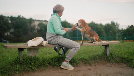 trainer teaching puppy how to give high five, sitting on bench in outdoor park. dog eagerly participates in training session, offering paw while trainer gently encourages the dog