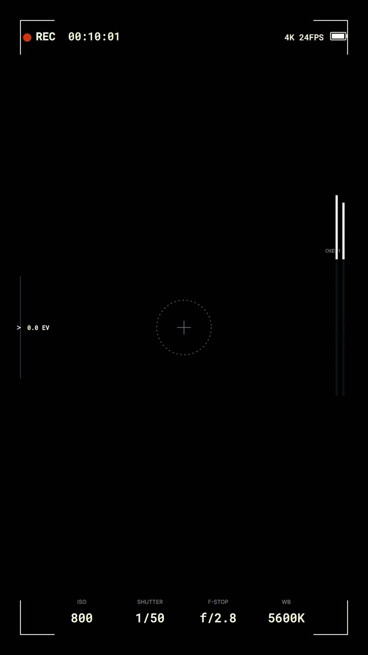 Digital Camera Viewfinder Overlay with Recording Interface