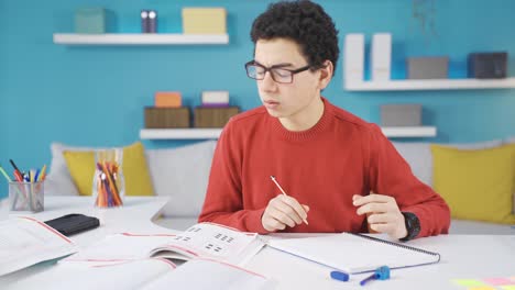 disciplined smart student is studying his lessons.