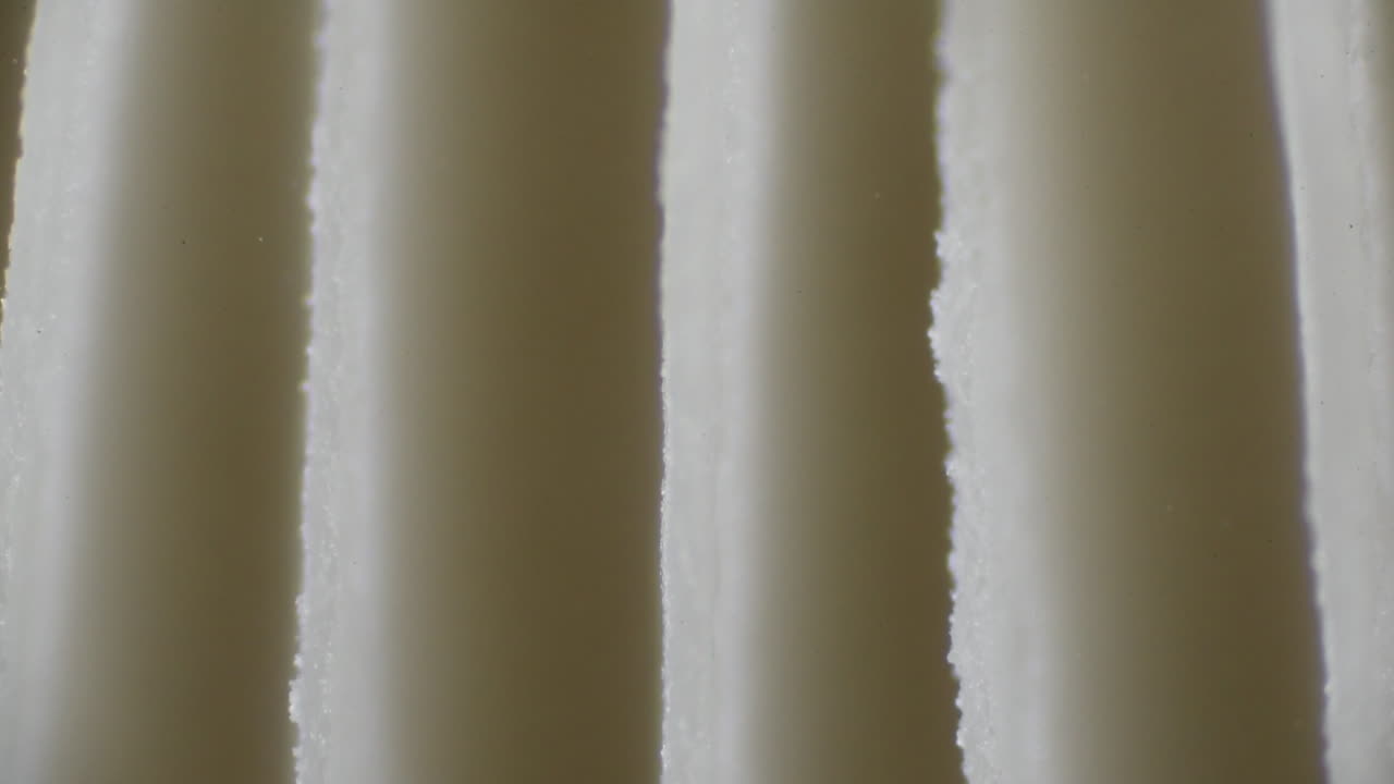 Extreme Close Up of Twinkling Spores being Released from Mushroom Gillls