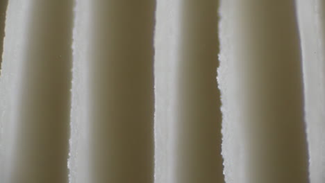 extreme close up of twinkling spores being released from mushroom gillls