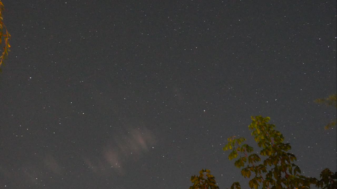전경에 나무가 있는 정원에서 아스트로 타임랩스