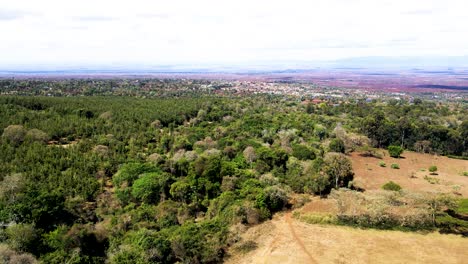 Drohnenansicht---Afrika-Wald---Afrika-Buschfeuer