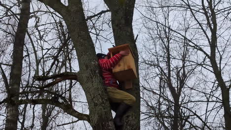 Man on a tree placing a wooden box for bird nests