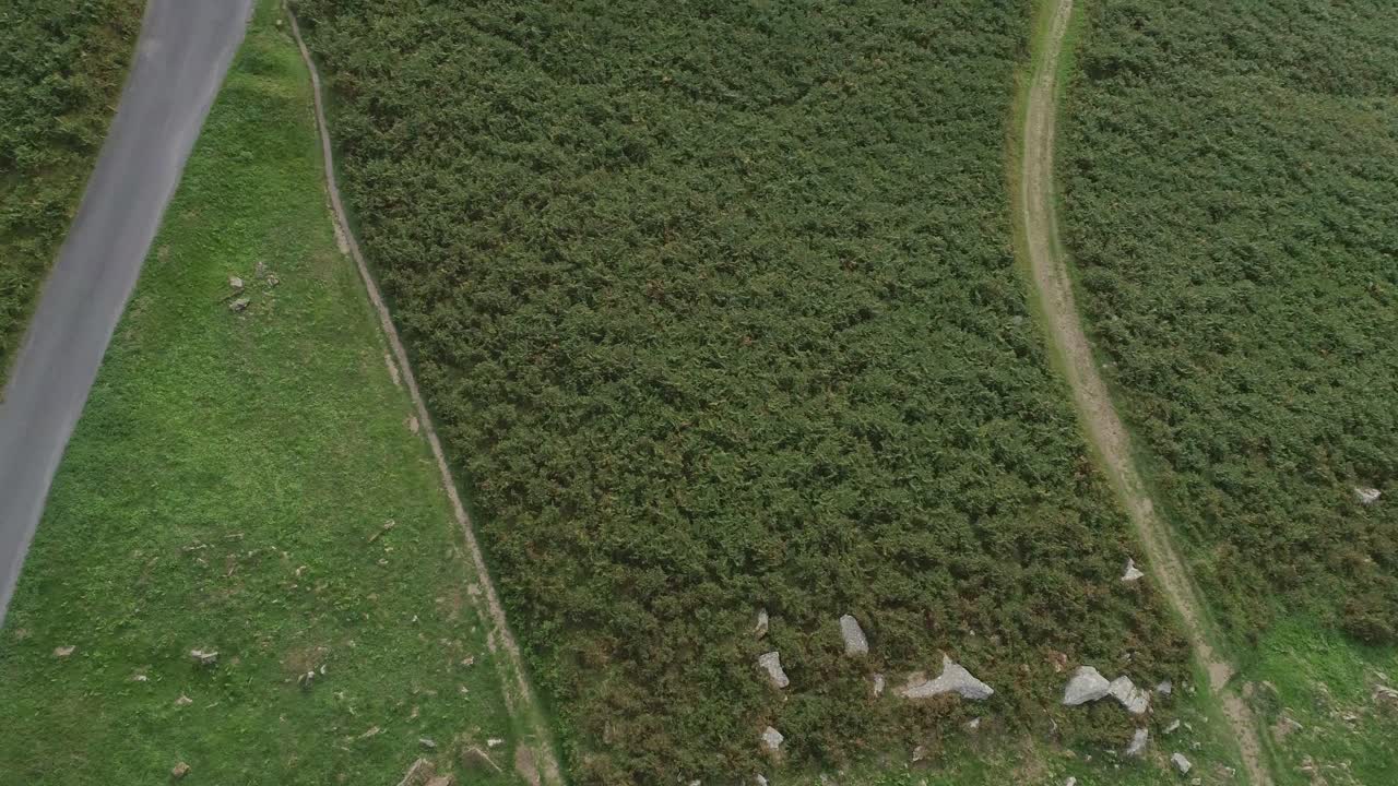 Aerial view of a hillside with roads, paths, grass, rocks and vegetation