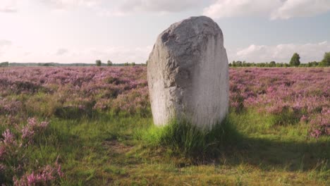 stone monument in a heath landscape