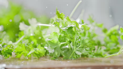 chopped parsley leaves fall onto a wet kitchen counter, splashing water droplets in macro and slow motion