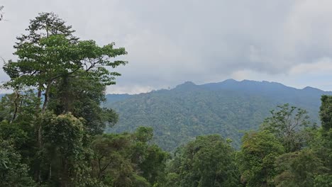 Mountain-range-and-trees-through-the-car-window