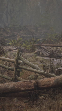 foggy forest with wooden fence