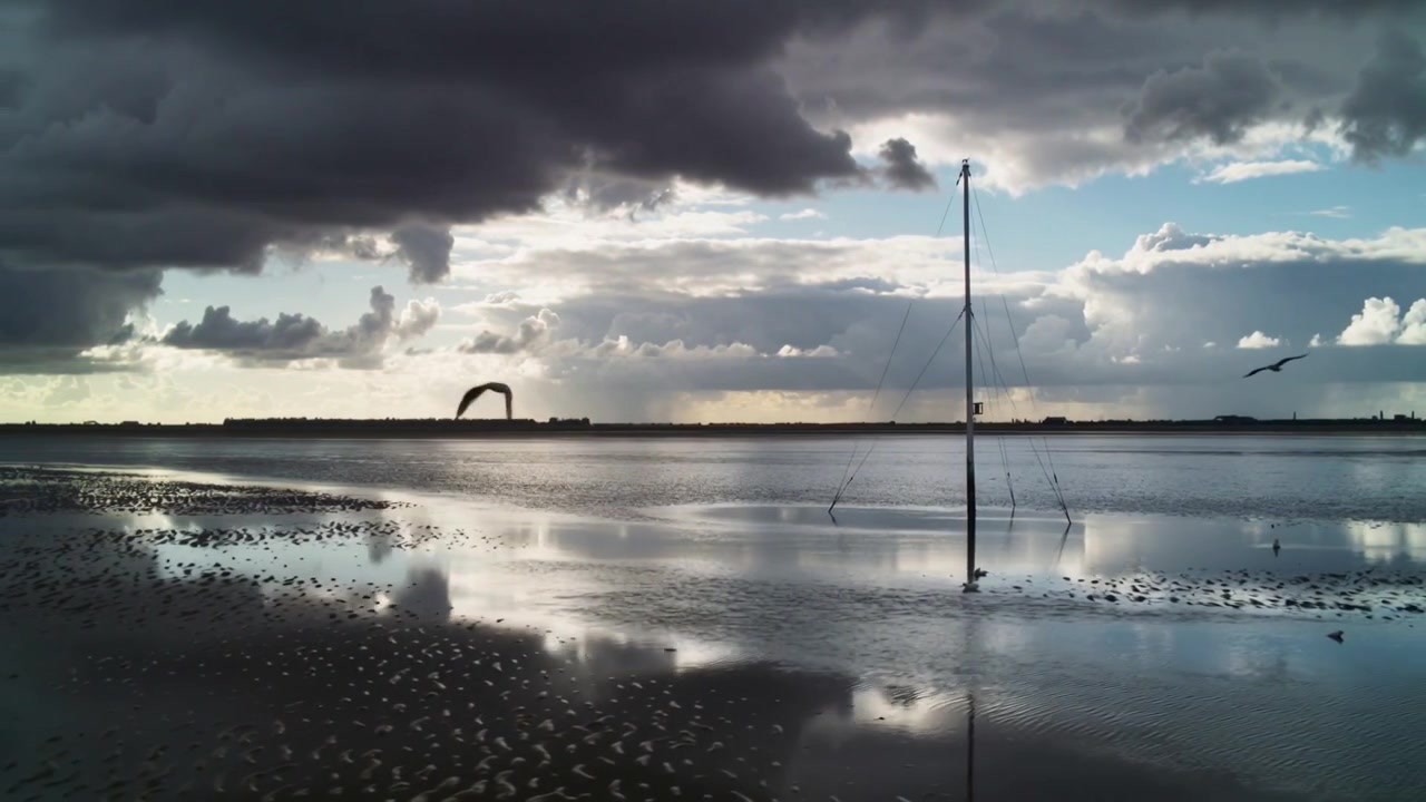 Slank pæl står og reflekterer i vandpytter på tidevandsfladen, mens måger kommer ind fra højre og søger efter mad.