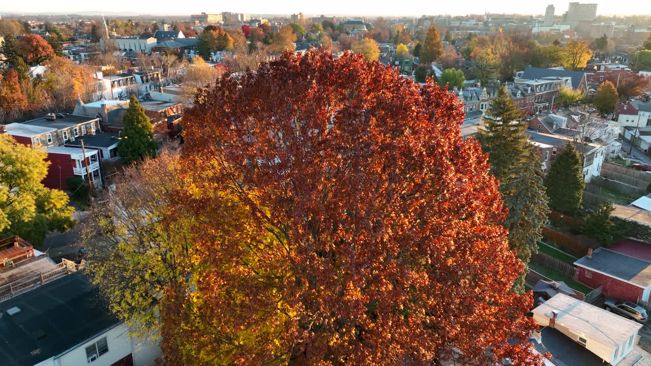 미국의 미국 도시의 공중 공개