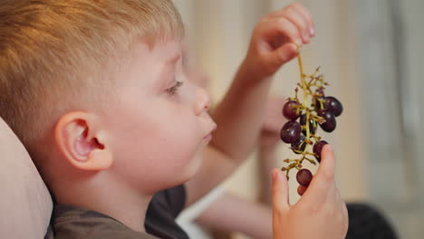cute boy holding bunch of fresh black berries picking one to eat while sitting indoors beside slightly blurred child background curtain visible peaceful home setting natural light soft relaxed moment