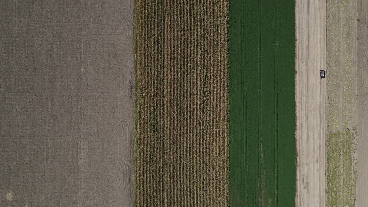 tierras de cultivo de diferentes colores