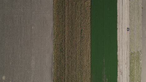 Farmland-With-Different-Colors