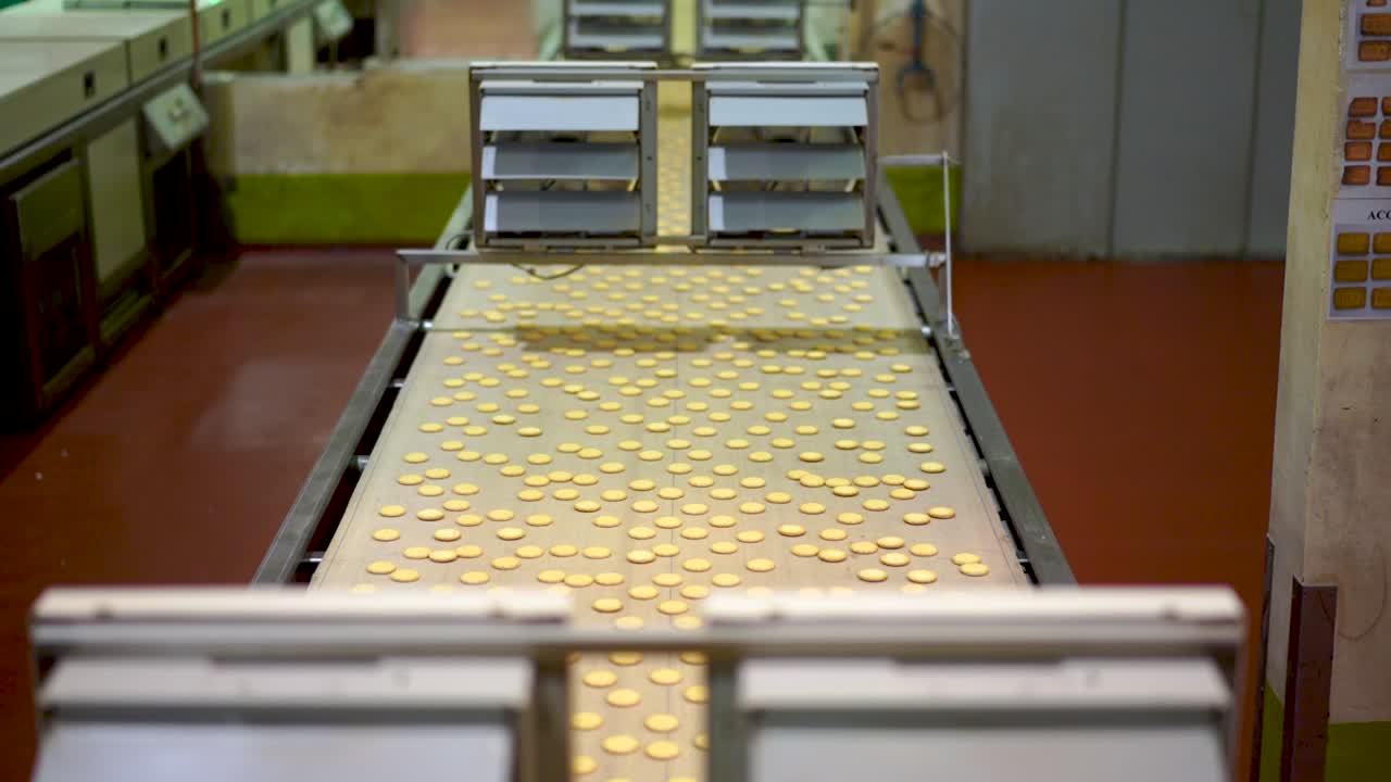 Conveyor belt of a bicuit factory full of biscuits