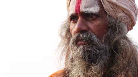 portrait of a holy indian sadhu