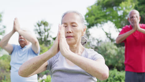 senior asian woman practicing yoga meditation with diverse senior group in garden, slow motion