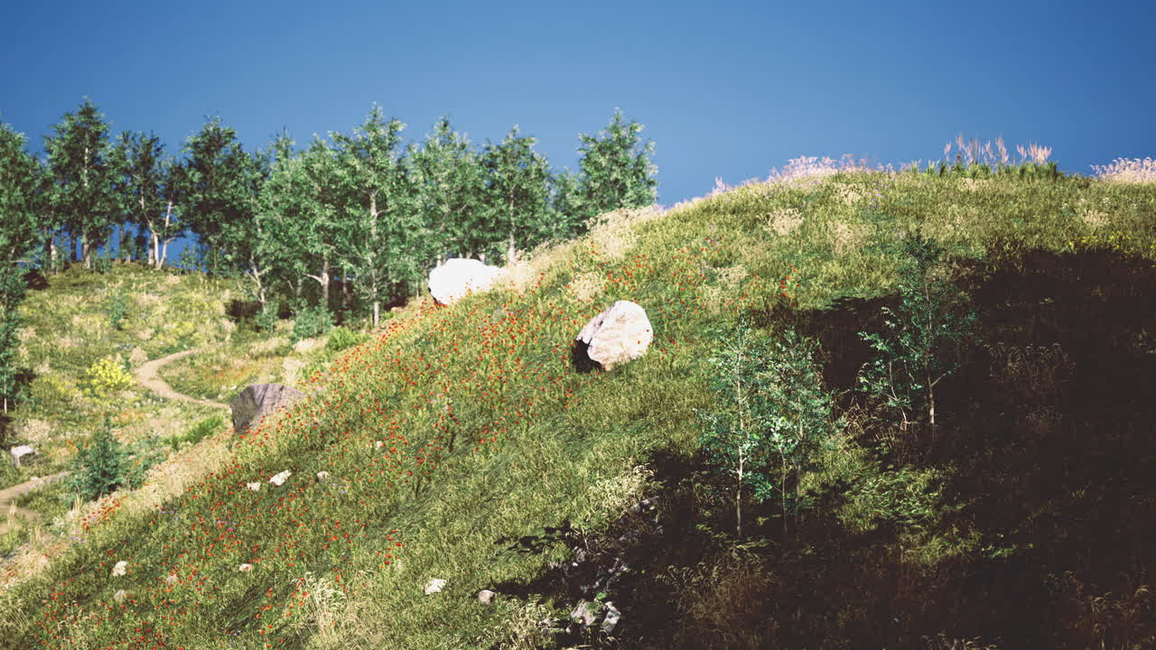 flores silvestres coloridas florecen en una ladera bajo un cielo azul claro