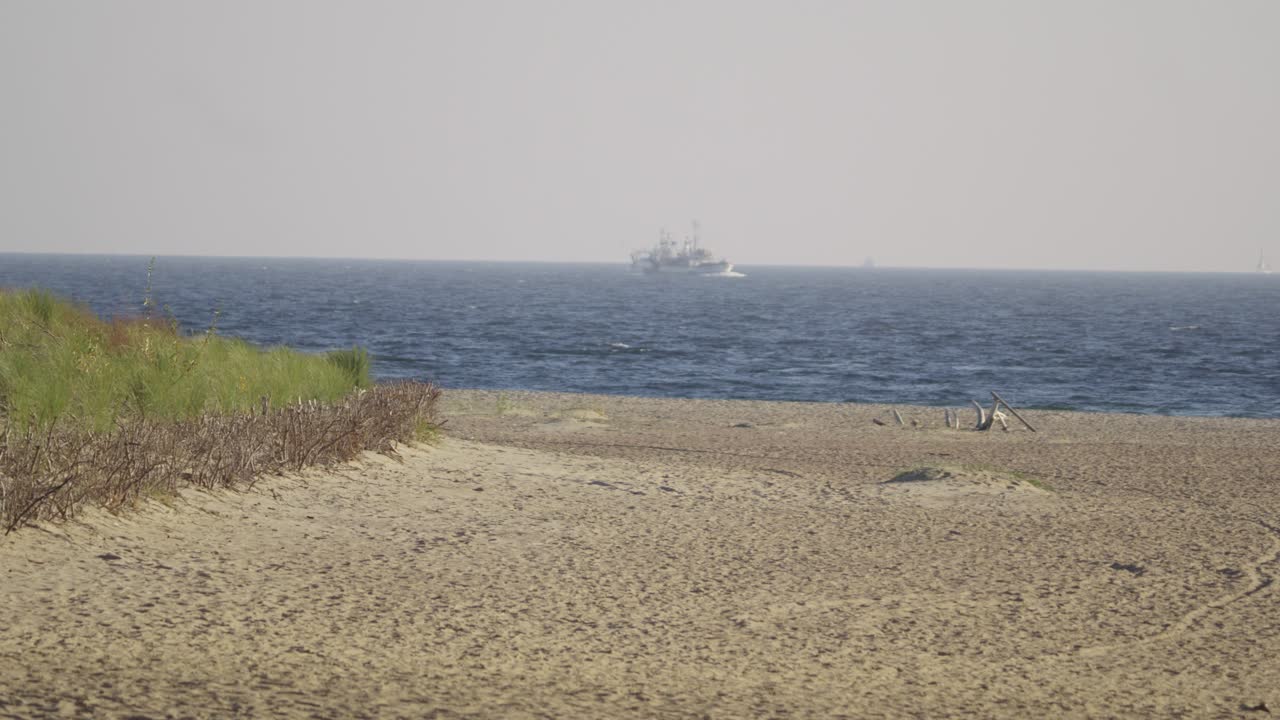 Tranquil Beach Scene with Ocean and Distant Ships