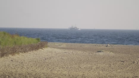 tranquil beach scene with ocean and distant ships