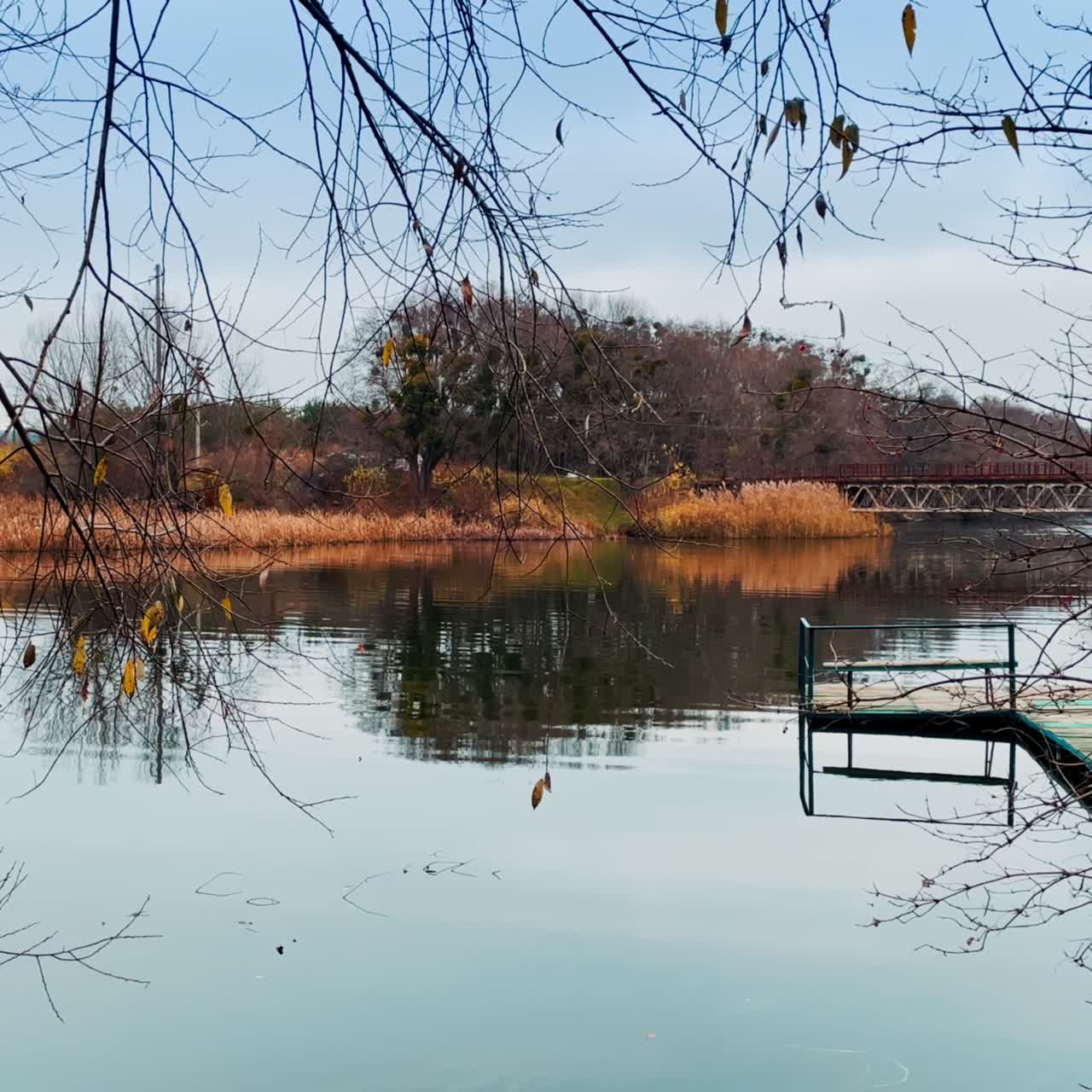 Autumn nature away from big city. Beautiful river with bridge for boats and fishermen. Bare trees and dry grass on the banks