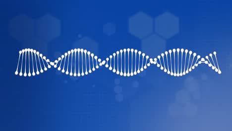 animación de la cadena de adn sobre un fondo azul
