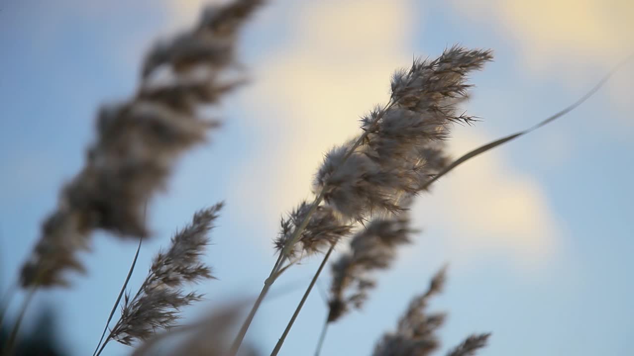 바다 근처의 차가운 겨울 바람에서