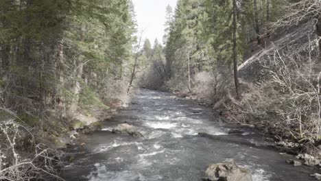 Fast-flowing-river-through-a-forest-on-the-Pacific-Crest-Trail