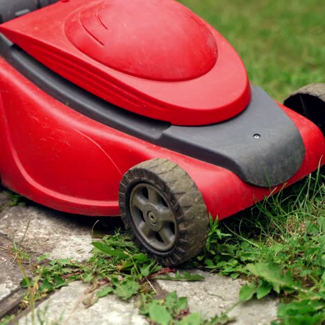 mowing garden care work tool. lawn mower cutting green grass near the tile track in the yard in summer. red grass mower works. close-up.