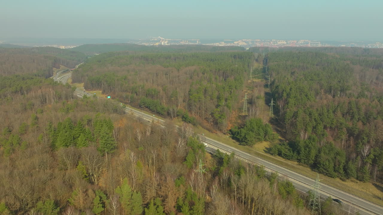 vista aérea panorámica de una carretera de campo con denso bosque cerca de chwarzno, gdynia, polonia