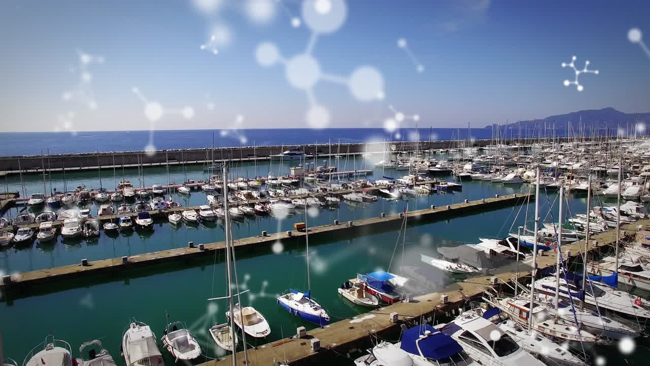 도크 위의 분자의 애니메이션