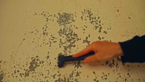 scraping old paint from wall - close up