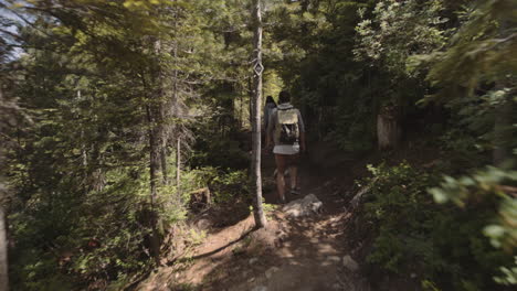 Group-of-Hikers-walking-up-the-trail-in-sunny-forest