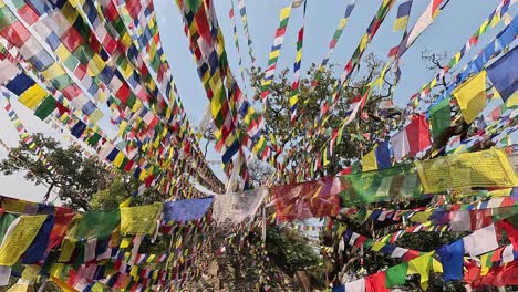 the entire sky is covered in tibetan prayer flags against a blue sky