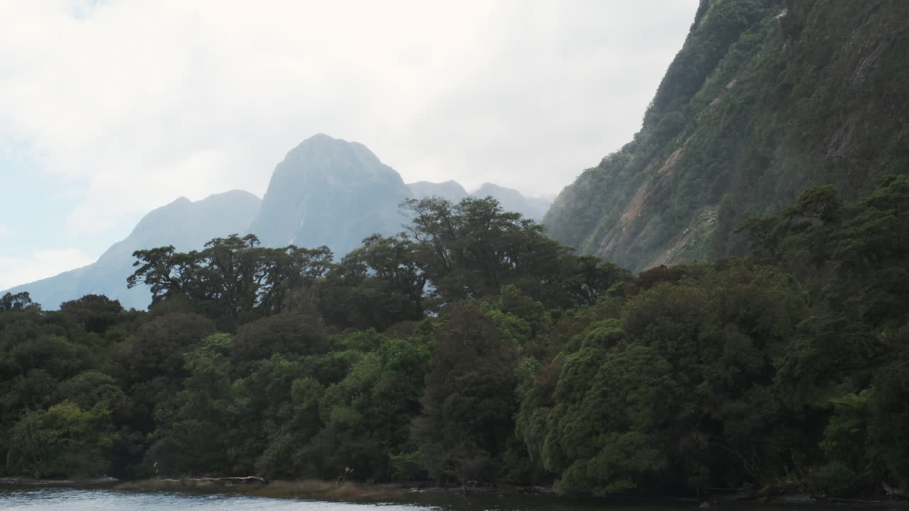 montañas nebulosas y densos bosques envueltos en la tranquilidad en milford sound, nueva zelanda