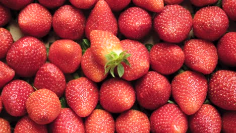 zoom shot of ripe strawberries in the box