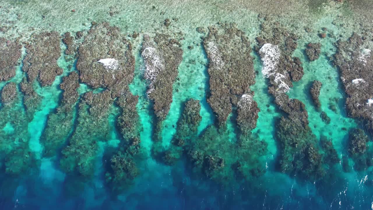 video aéreo 4k descendente lento cinematográfico del arrecife de coral de la isla de utila en honduras