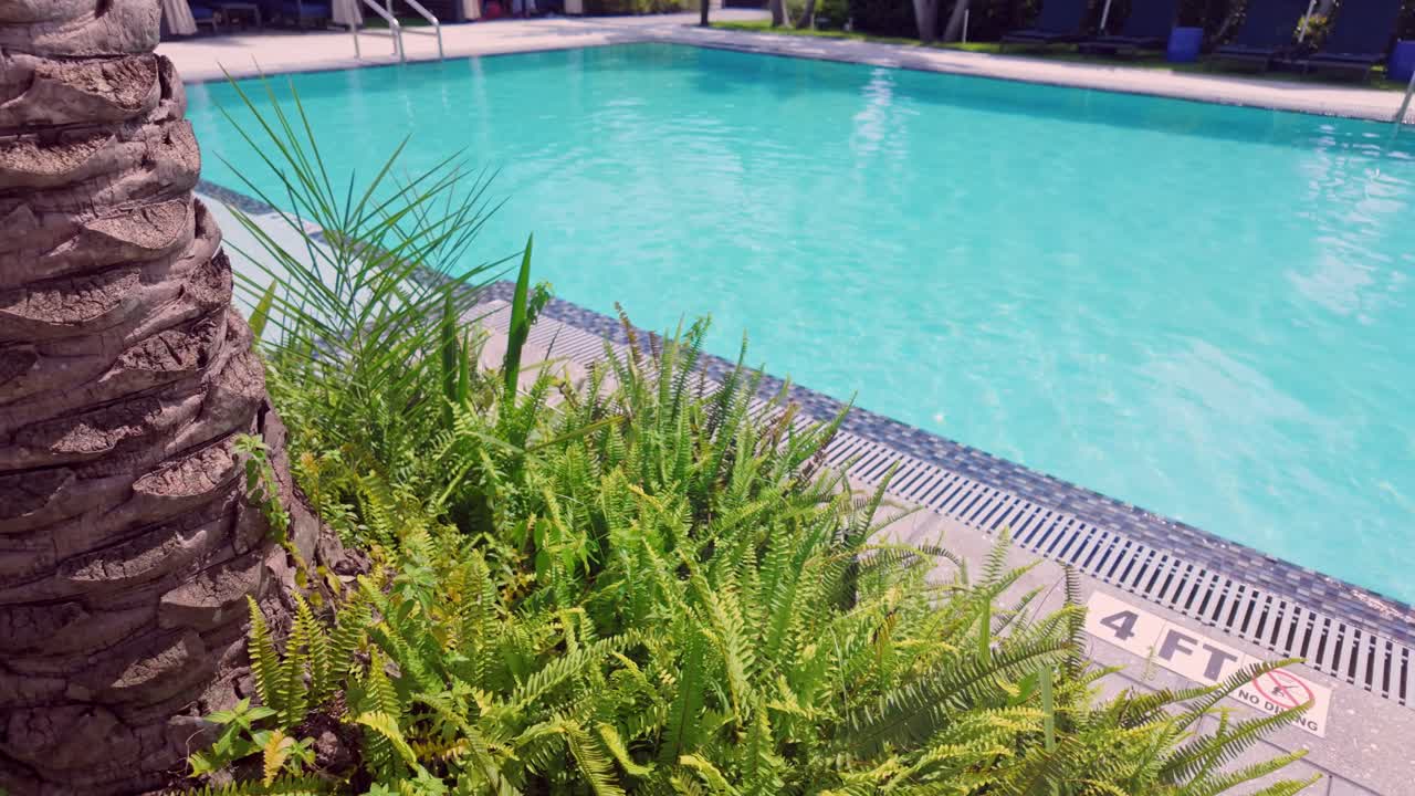 Lush plants around empty swimming pool