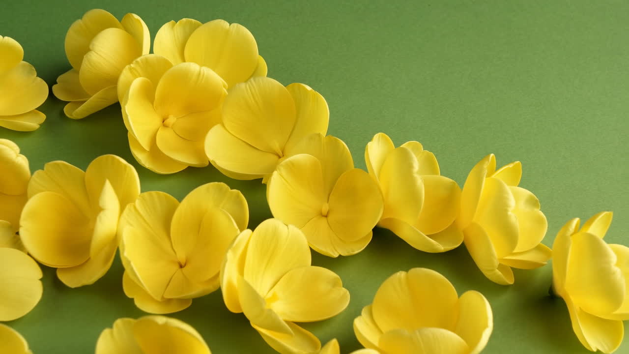 Strålende gule blomster arrangeret på en grøn baggrund