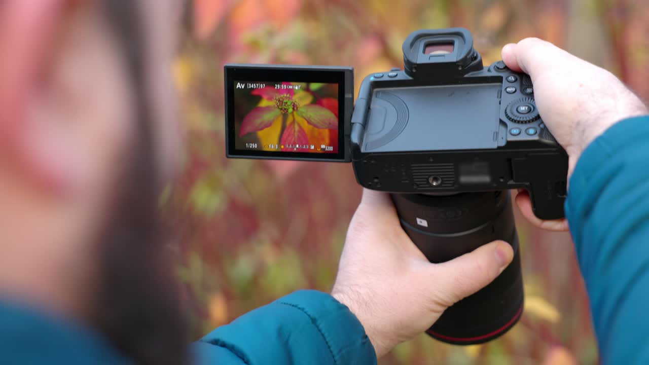 Naturfotograf tager billeder af farverigt efterårsløv med DSLR-kamera i Stadtpark i Wien, Østrig