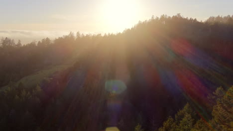 flying over a forested mountain in central california into the sunshine with a dreamy haze