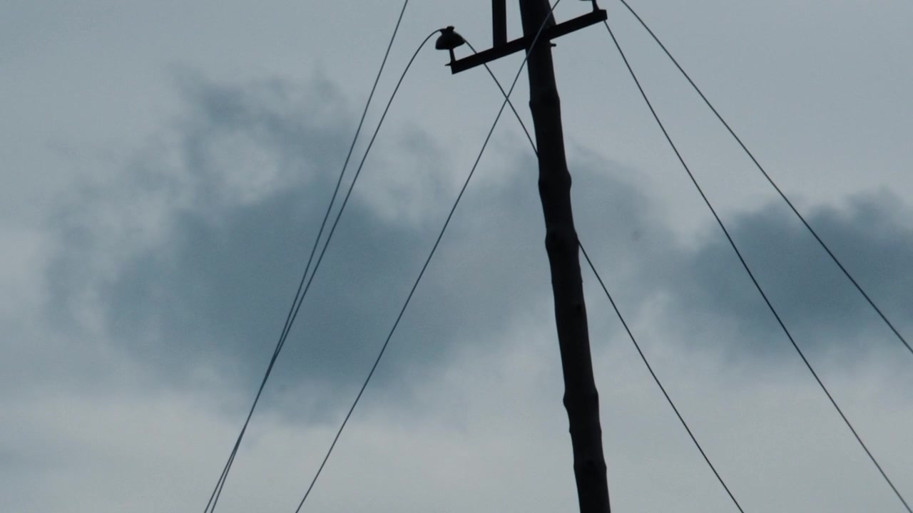 High voltage power cables laying on the ground