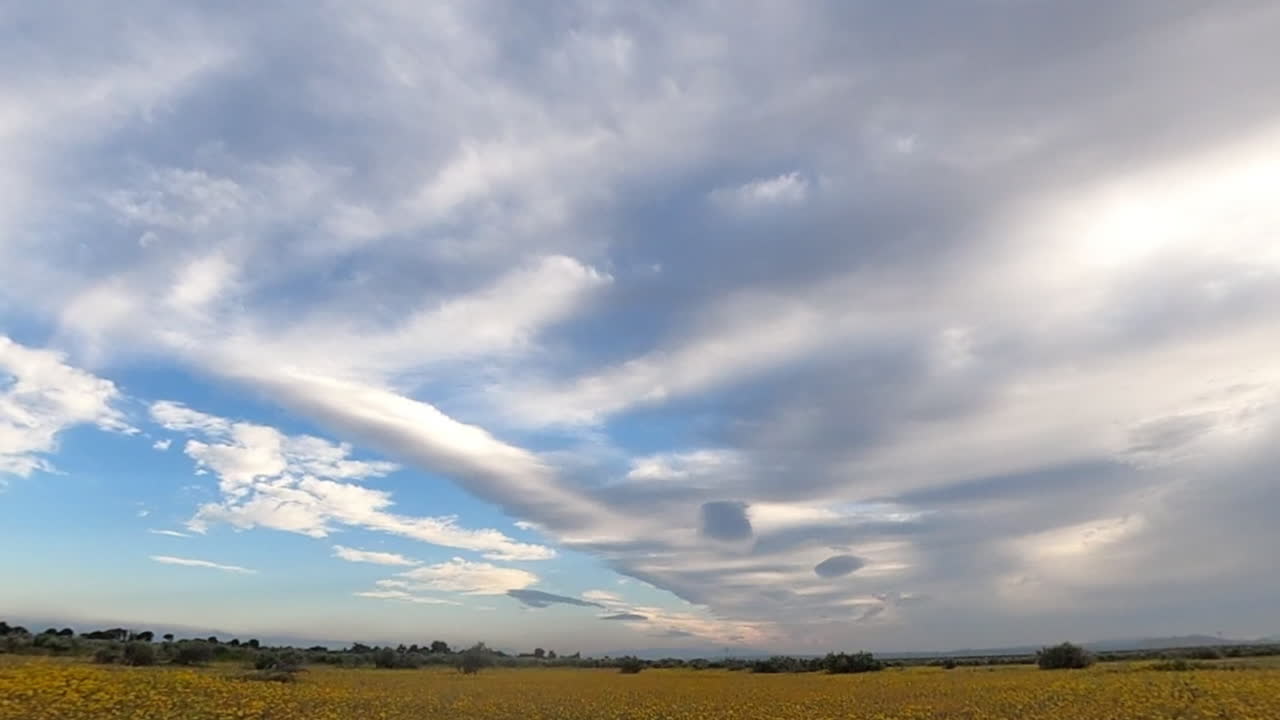 las nubes corren por el cielo del desierto de mojave sobre un campo de flores silvestres amarillas en este lapso de tiempo panorámico