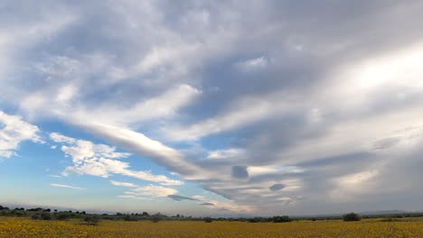 clouds race across the mojave desert sky over a field of yellow wildflowers in this panoramic time lapse