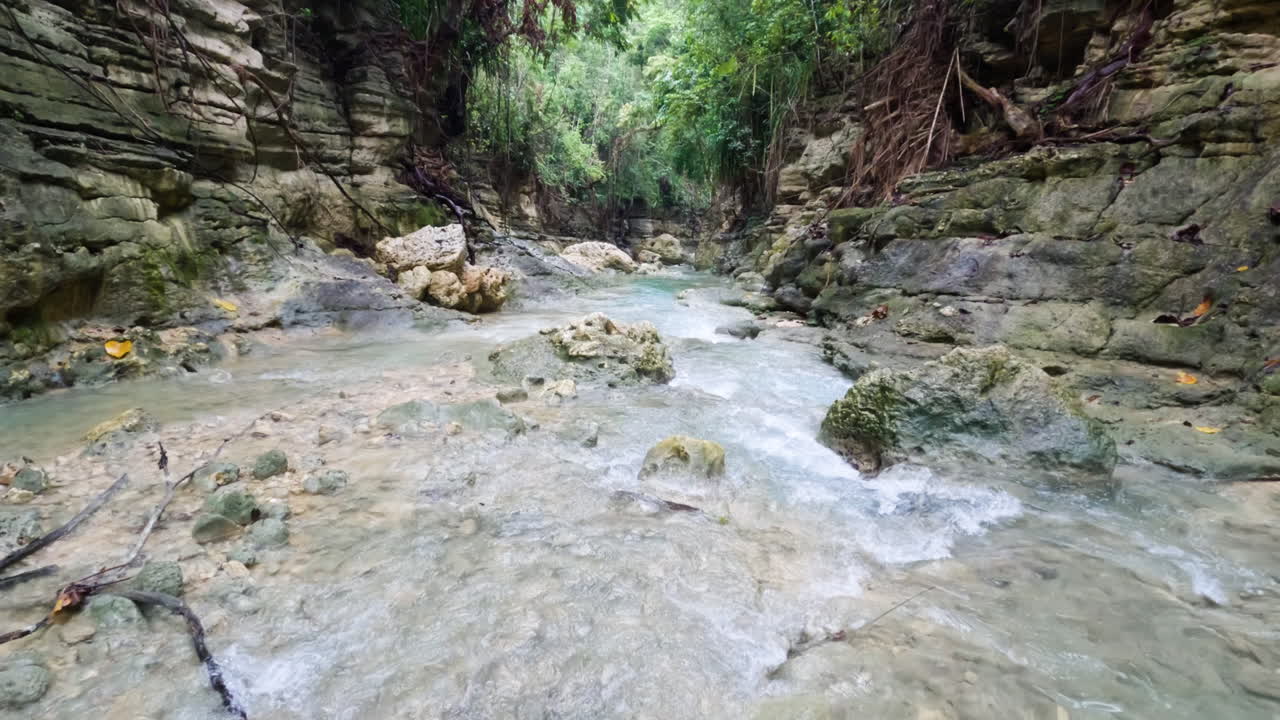 imágenes cinematográficas de un río en la selva tropical de las filipinas, asia, cámara lenta, slomo, 120 fps
