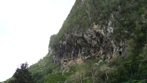 escalador en palenque