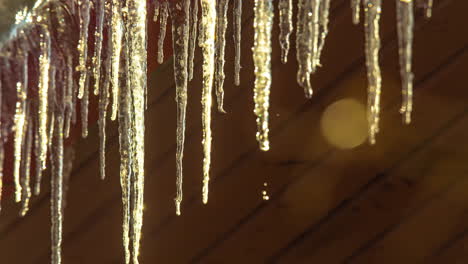 Trips-falling-from-melting-icicles-while-sunlight-moves