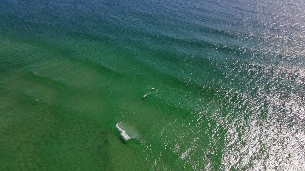 туристы занимаются серфингом на пляже фингал хед в солнечный день - волны на тасмановом море в летнее время - новый южный уэльс, австралия
