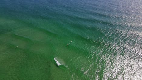 turistas surfeando en fingal head beach en un día soleado - olas en el mar de tasman en verano - nueva gales del sur, australia