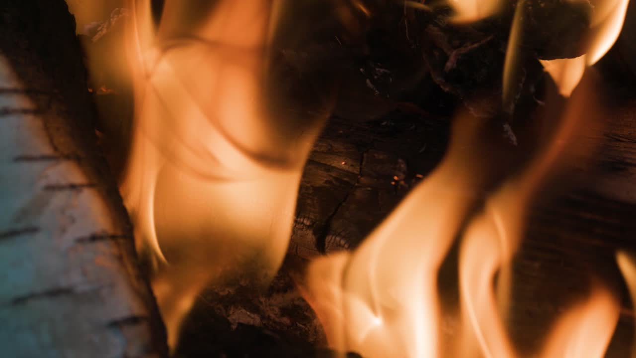 Close-up of a Campfire with Birch Wood Burning